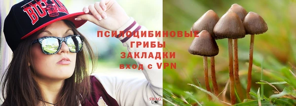 дживик Баксан