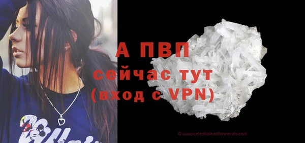 дживик Балахна