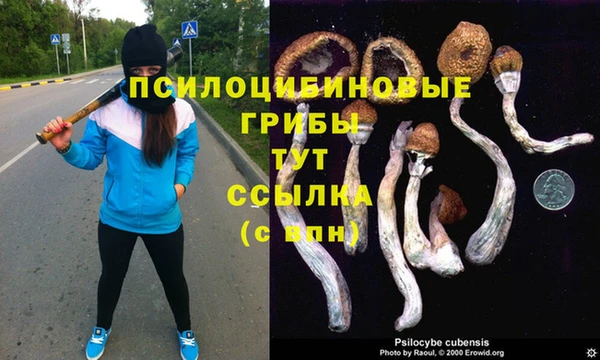дживик Балахна